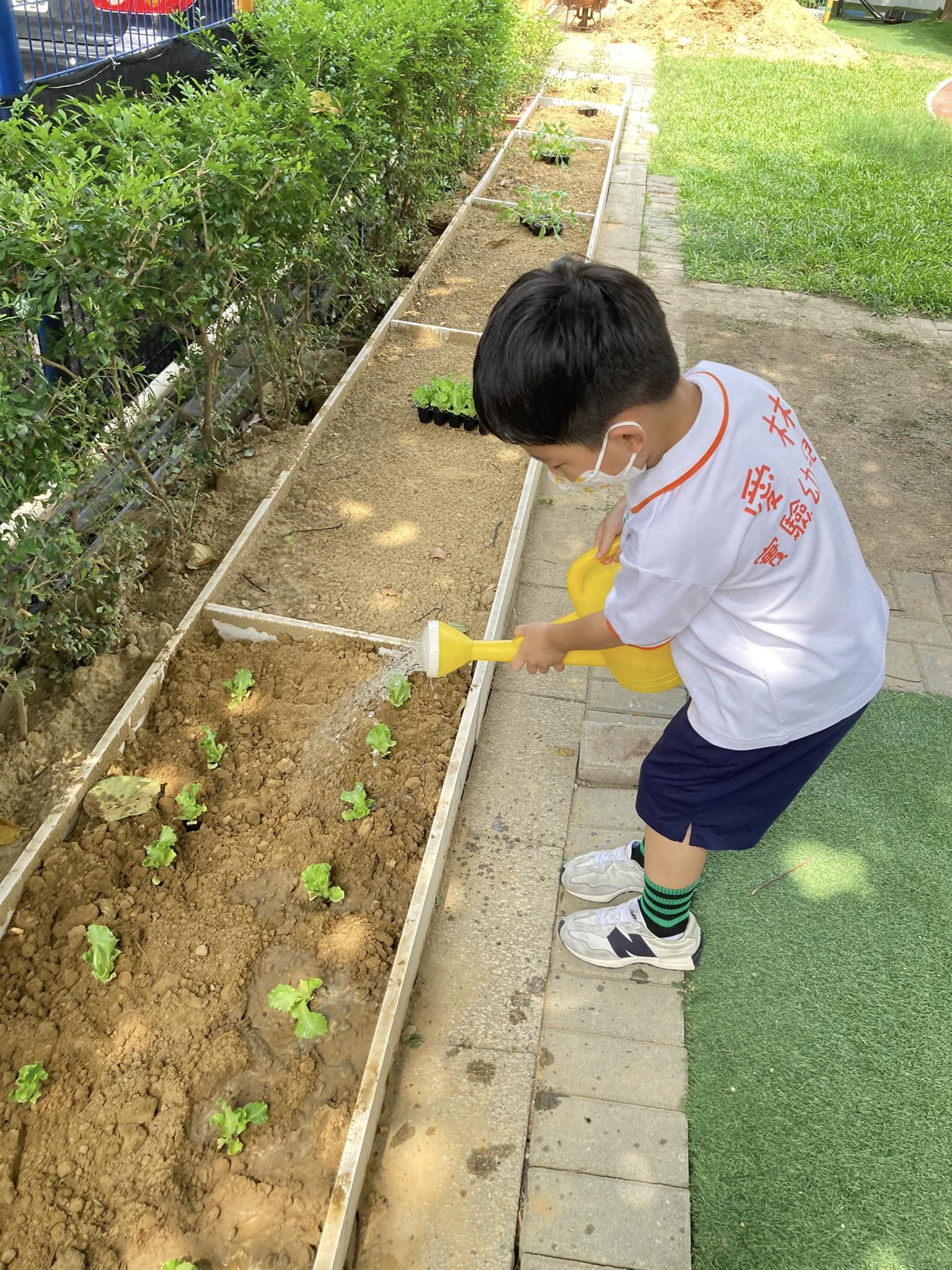 開心農場